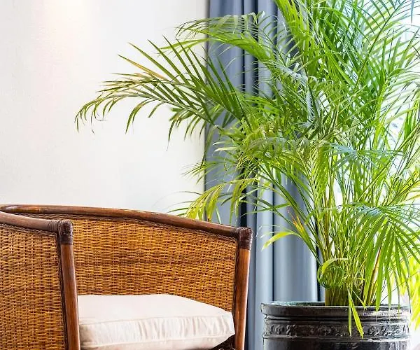 דירה Stunning Terrace With Ocean View *