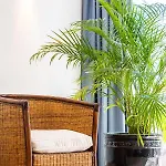 Apartamento Stunning Terrace With Ocean View *