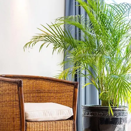 Апартаменты Stunning Terrace With Ocean View *
